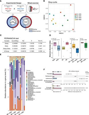 Integrated analysis of the microbiota-gut-brain axis in response to sleep deprivation and diet-induced obesity